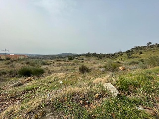 CANDELARIO 4