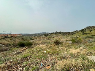 CANDELARIO 6
