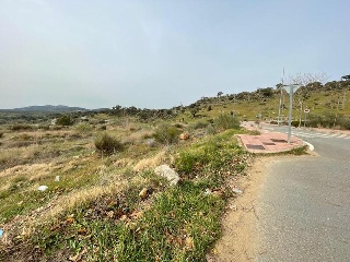 CANDELARIO 7