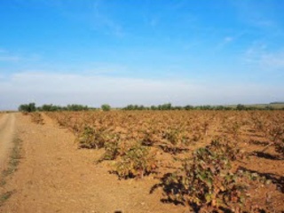 POLIGONO 15 3