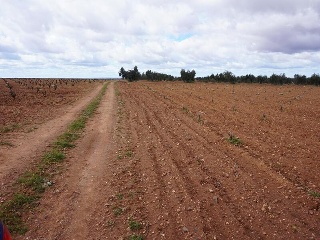 POLIGONO 15 5