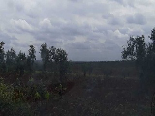 POLIGONO 15 9