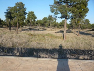 PARAJE BILBAO, TRUEBA Y SENOVILLA. PARCELAS 5002,5 2