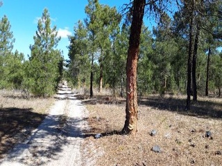 PARAJE BILBAO, TRUEBA Y SENOVILLA. PARCELAS 5002,5 9