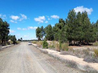 PARAJE BILBAO, TRUEBA Y SENOVILLA. PARCELAS 5002,5 17