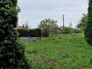 SAN ROQUE 2