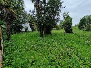 SAN ROQUE 3