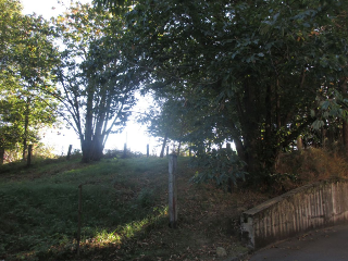 SAN ROQUE 8