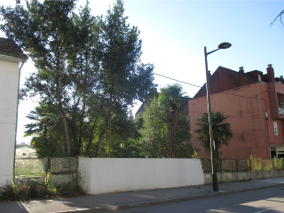 SAN ROQUE 14