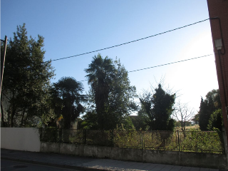 SAN ROQUE 15