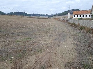 CARCAVA 5