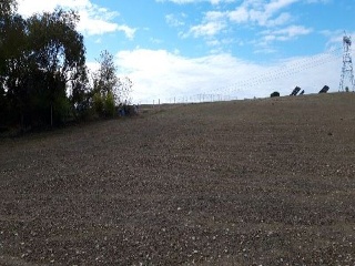 CARCAVA 8