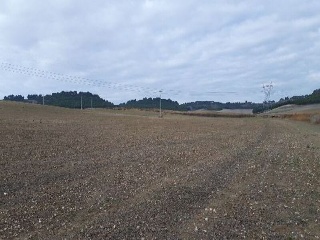 CARCAVA 9