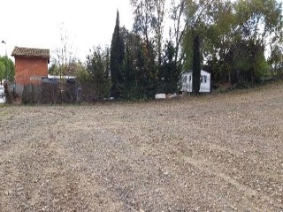 CARCAVA 11