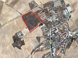 CARCAVA 15
