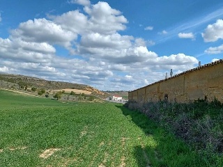 TRAS QUINTANAS 5