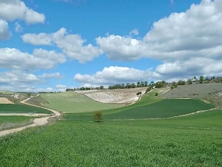 TRAS QUINTANAS 6