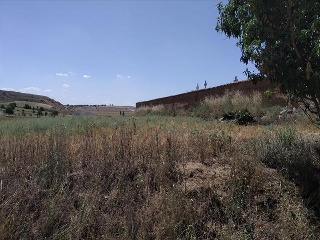TRAS QUINTANAS 9