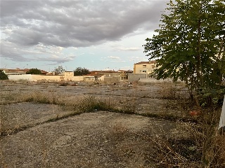 ANTONIO MARIA VASCO 12