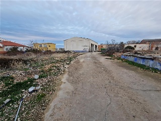 ANTONIO MARIA VASCO 17