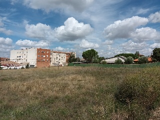 PARQUE MONZON 2