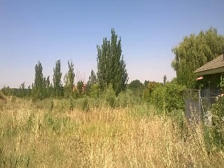 PARQUE MONZON 4