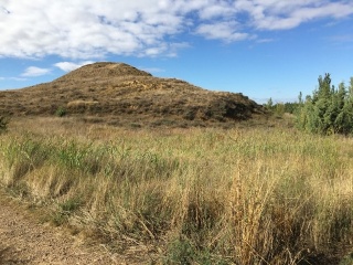 PARQUE MONZON 8