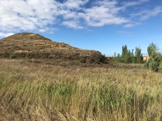 PARQUE MONZON 9