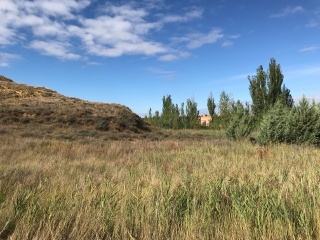 PARQUE MONZON 11