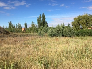 PARQUE MONZON 12