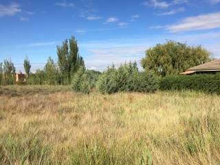 PARQUE MONZON 13