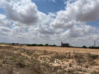 PAU-ESTE 2