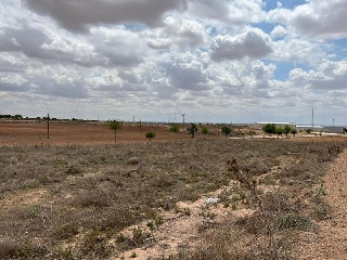 PAU-ESTE 3