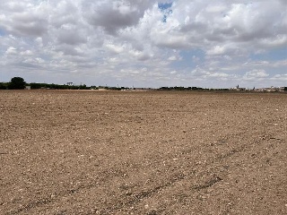 PAU-ESTE 5