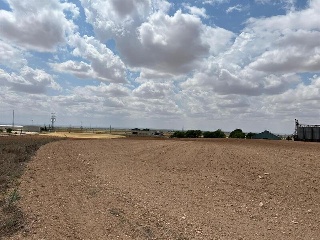 PAU-ESTE 6