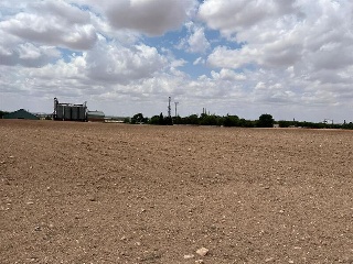 PAU-ESTE 7
