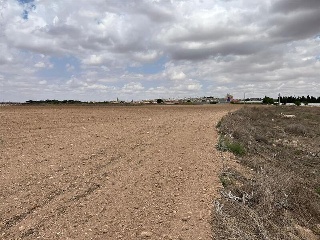 PAU-ESTE 8