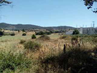 PARAJE PATITAS 3