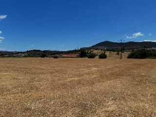 PARAJE PATITAS 8