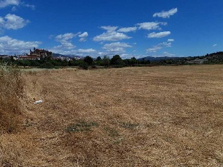 PARAJE PATITAS 9