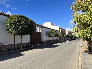 CASTELLANOS 2