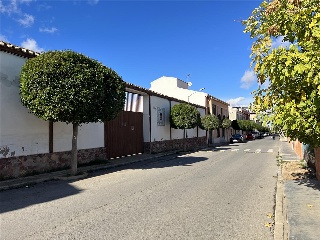 CASTELLANOS 16