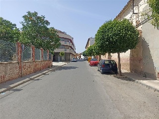 CASTELLANOS 24