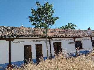 CASTELLANOS 35