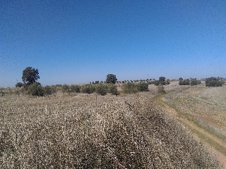 Pisos banco Valdeaveruelo