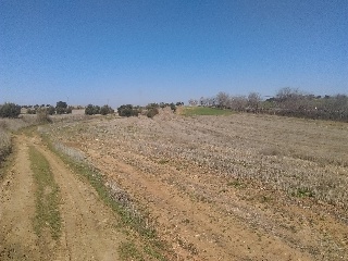 29 DEL SECTOR RES-II 2