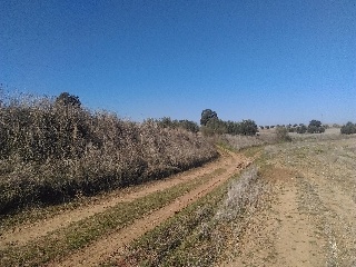 29 DEL SECTOR RES-II 3