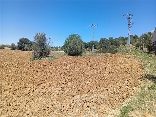 29 DEL SECTOR RES-II 4