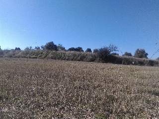29 DEL SECTOR RES-II 5