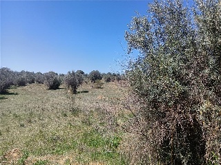 29 DEL SECTOR RES-II 6